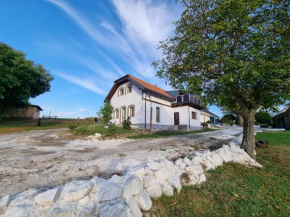 Čenovický dvůr, Čestín